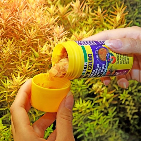 JBL Pronovo Color Flakes M 250ml - pokarm w płatkach wzmacniający kolory ryb JBL