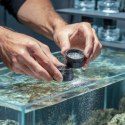 Kruger Meier Feelives Bacterial 20g - bakterie nitryfikacyjne Kruger Meier