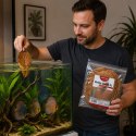 Kruger Meier Shrimp Leaves XL - liście ketapangu 15 sztuk Kruger Meier