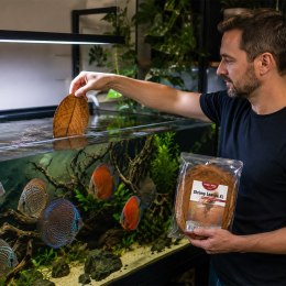 Kruger Meier Shrimp Leaves XL - liście ketapangu 20 sztuk Kruger Meier