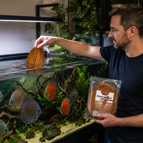 Kruger Meier Shrimp Leaves XL - liście ketapangu 20 sztuk Kruger Meier