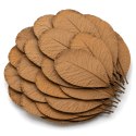Kruger Meier Shrimp Leaves XL - liście ketapangu 20 sztuk Kruger Meier