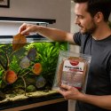 Kruger Meier Shrimp Leaves XL - liście ketapangu 5 sztuk Kruger Meier