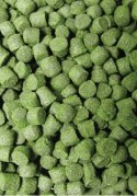 Ocean Nutrition Formula Two Pellets S 100g (drobny pokarm granulowany) Ocean Nutrition