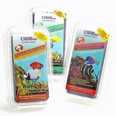 Ocean Nutrition Seaweed Brown 12g - algi z czosnkiem Ocean Nutrition