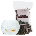 SHOKUMOTSU Daigaehin 75 ml - spirulina i pokarm roślinny w tabletkach SHOKUMOTSU