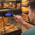 Terrario Duo Therm X - termostat dzień i noc z programatorem czasowym Terrario