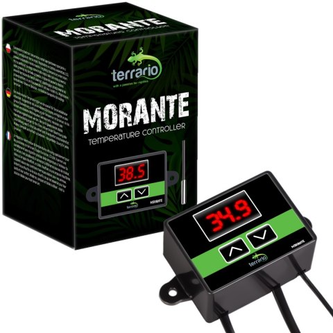 Terrario Morante - termostat terrarystyczny z sondą Terrario