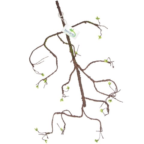 Terrario - Sztuczna Gałąź Dekoracyjna z Pędami do Terrarium - 100 cm Terrario