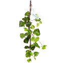 Terrario - Sztuczna Roślina do Terrarium - Wiszący Bluszcz 80 cm Terrario