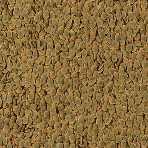 Tetra Pleco VeggieWafers 250ml - pokarm dla ryb roślinożernych dennych Tetra