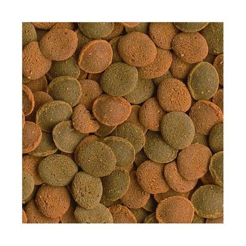 Tetra Wafer Mix 15g - pokarm dla ryb dennych Tetra