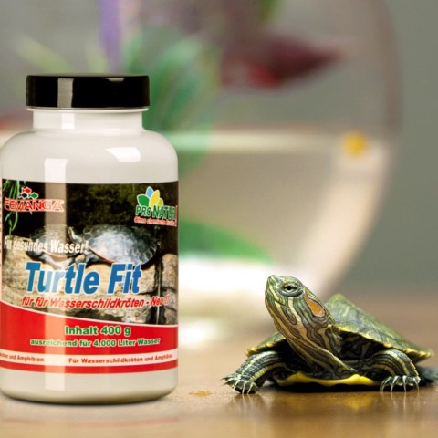 Femanga Turtle Fit - preparat na niedobory witamin i minerałów 400g Femanga