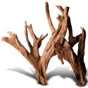 Philippines Classic Driftwood - drzewo mangrowca z wody XXL 70cm - 110cm Terrario