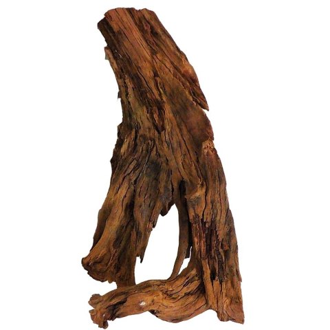 Philippines Classic Driftwood - drzewo mangrowca z wody XXL 70cm - 110cm Terrario