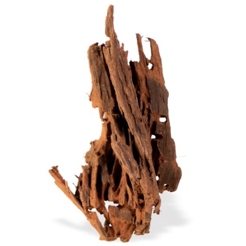 Philippines Classic Driftwood - drzewo mangrowca z wody XXL 70cm - 110cm Terrario