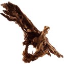 Philippines Classic Driftwood - drzewo mangrowca z wody XXL 70cm - 110cm Terrario
