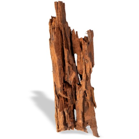 Philippines Classic Driftwood - drzewo mangrowca z wody XXL 70cm - 110cm Terrario