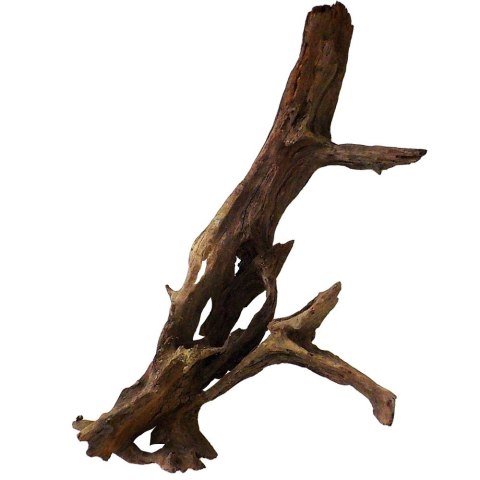 Philippines Classic Driftwood - drzewo mangrowca z wody XXL 70cm - 110cm Terrario