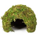 Repti-Zoo Natural Mossy Dome S - kryjówka z mchu Repti-Zoo