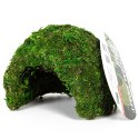 Repti-Zoo Natural Mossy Dome S - kryjówka z mchu Repti-Zoo