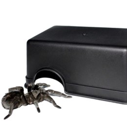 Terrario CubeCave - jaskinia miska na wodę i pokarm 14x9x5cm Terrario