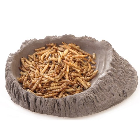 Terrario FoodWood M - miska na pokarm 14x12x2,5cm Terrario