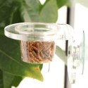 Terrario Gecko Bar Dish - miseczka zapasowa 30ml Terrario