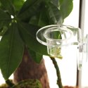 Terrario Gecko Bar Dish - miseczka zapasowa 30ml Terrario