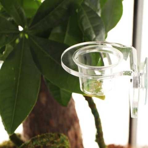 Terrario Gecko Bar Dish - miseczka zapasowa 30ml Terrario