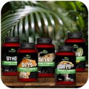 Terrario ORYO for Turtles & Tortoise 150g - witaminy dla żółwi Terrario