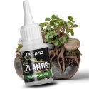 Terrario Plantir 20g - klej do dekoracji kamieni i korzeni w terrarium Terrario