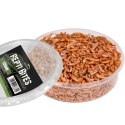 Terrario Repti Bites Gammarus 125ml - kiełż zdrojowy suszony Terrario