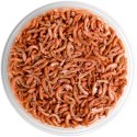 Terrario Repti Bites Gammarus 125ml - kiełż zdrojowy suszony Terrario