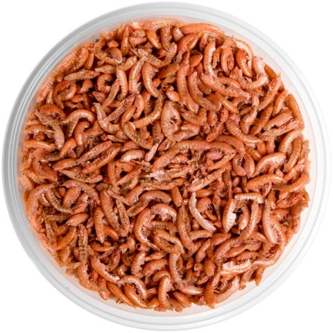 Terrario Repti Bites Gammarus 500ml - kiełż zdrojowy suszony Terrario