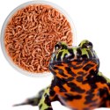 Terrario Repti Bites Gammarus 500ml - kiełż zdrojowy suszony Terrario