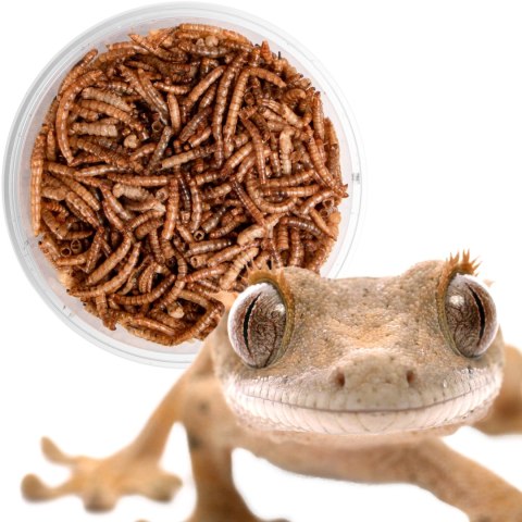 Terrario Repti Bites Mealworms 125ml - larwy mącznika suszone Terrario