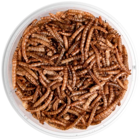 Terrario Repti Bites Mealworms 250ml - larwy mącznika suszone Terrario