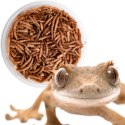 Terrario Repti Bites Mealworms 250ml - larwy mącznika suszone Terrario