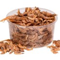 Terrario Repti Bites Shrimps 250ml - krewetki suszone Terrario
