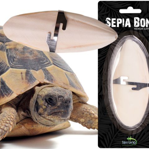Terrario Sepia Bone - sepia 24 sztuki Terrario