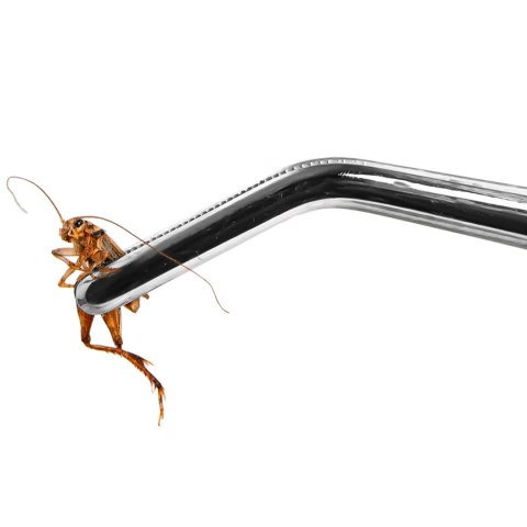Terrario ViperTweez Bent L - pęseta zagięta 30cm Terrario