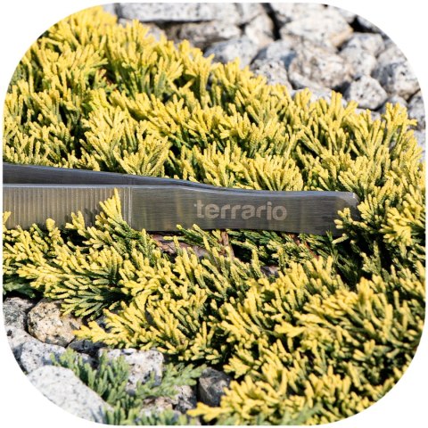 Terrario ViperTweez Simple XL - pęseta prosta 38cm Terrario