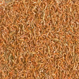 Tetra Gammarus Mix 250ml - pokarm dla żółwi z gammarus Tetra