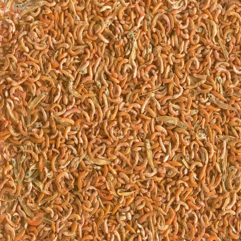 Tetra Gammarus Mix 250ml - pokarm dla żółwi z gammarus Tetra