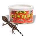 Zoomed Can O' Crickets Small - pokarm w puszcze świerszcze małe Zoomed