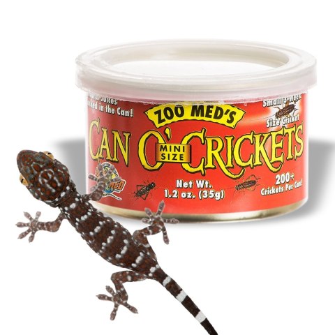 Zoomed Can O' Crickets Small - pokarm w puszcze świerszcze małe Zoomed