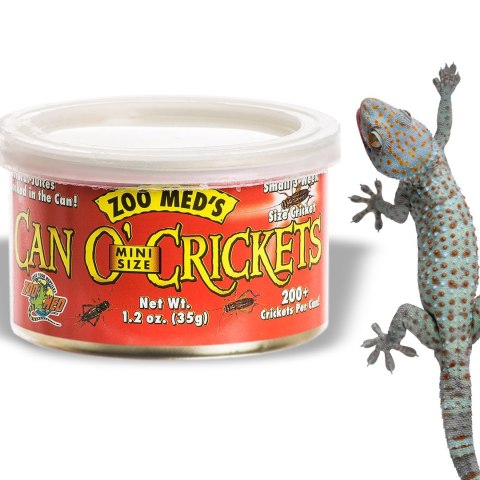 Zoomed Can O' Crickets Small - pokarm w puszcze świerszcze małe Zoomed