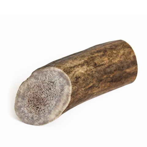 Gryzak z poroża jelenia Recosnack Antler dog chew/