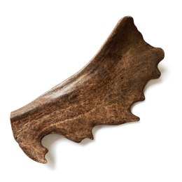 Fallow deer antler/ gryzak z poroża daniela Recosnack
